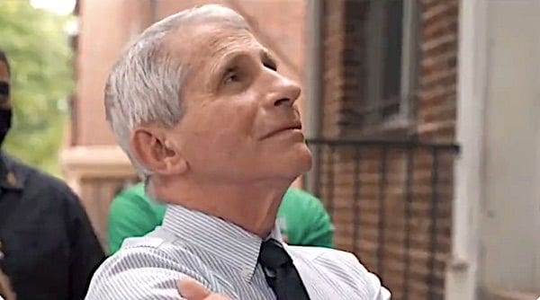 Dr. Anthony Fauci peddles COVID-19 shots in a Washington, D.C., neighborhood (Video screenshot)